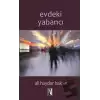 Evdeki Yabancı