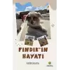 Fındıkın Hayatı