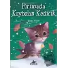 Fırtınada Kaybolan Kedicik