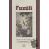 Fuzuli