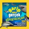 Garip Ama Gerçek Köpek Balıkları