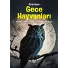 Gece Hayvanları