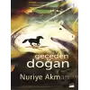 Geceden Doğan