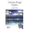 Gümüş Rengi Düşler