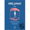 Güneş Çavması 2. Kitap