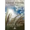 Güneşe Bakmak-Ölümle Yüzleşmek