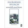 Halikarnas Balıkçısı - Sonsuzluk Sessiz Büyür Bütün Eserleri 13