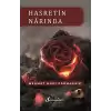 Hasretin Narında