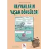 Hayvanların Yaşam Döngüleri