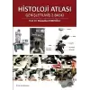 Histoloji Atlası