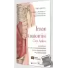 İnsan Anatomisi Cep Atlası