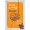 İnsan Beyni