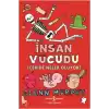 İnsan Vücudu