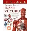 İnsan Vücudu - Yakından Tanıyın