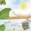 İpek Nasıl Oluşur?