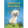 İstenmeyen Kedi Bulut