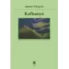 Kafkasya