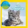 Kar Leoparları