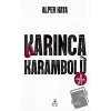 Karınca Karambolü