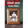 Kaza Süsü