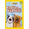 Kediler ve Köpekler