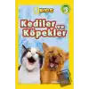 Kediler ve Köpekler