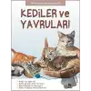 Kediler ve Yavruları - İlk Sorular ve Cevaplarla