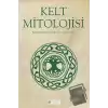 Kelt Mitolojisi