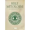 Kelt Mitolojisi