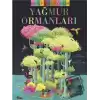 Keşfediyorum - Yağmur Ormanları