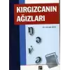 Kırgızcanın Ağızları