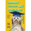 Köpeğinize Ekonomiyi Nasıl Öğretirsiniz?