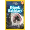 Köpek Balıkları (Seviye 2)