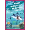 Köpek Balıklarının Muhteşem Dönüşü - Çocuklar İçin Bilgelik Hikayeleri 13