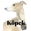 Köpek Kitabı: Resim Sanatında Köpekler