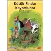 Küçük Findus Kaybolunca