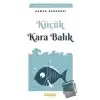 Küçük Kara Balık