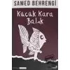 Küçük Kara Balık