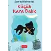 Küçük Kara Balık