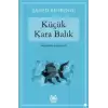 Küçük Kara Balık