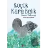 Küçük Kara Balık