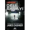 Labirent: Deli Sarayı