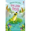 Life Cycles: One Little Frog