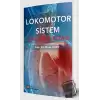 Lokomotor Sistem