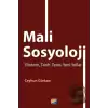 Mali Sosyoloji - Yöntem, Tarih, Teori, Yeni Yollar