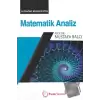 Matematik Analiz