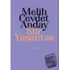 Melih Cevdet Anday: Şiir Yaşantısı