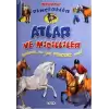 Meraklı Pencereler - Atlar ve Midilliler