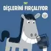 Merhaba Küçük Deha - Tay Dişlerini Fırçalıyor