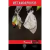 Metamorphosis